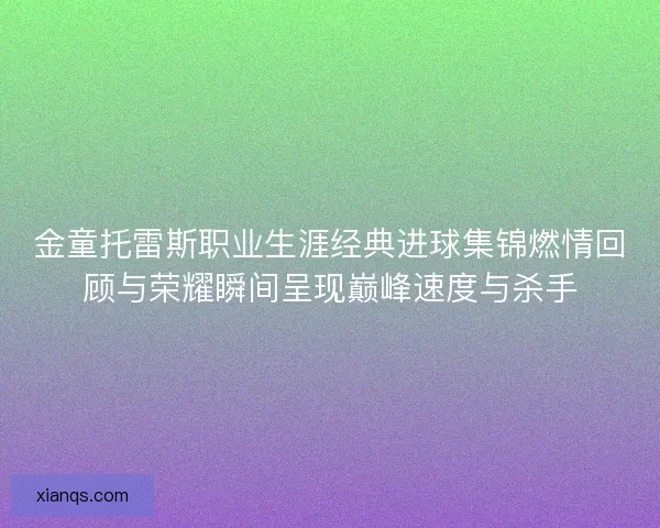 金童托雷斯职业生涯经典进球集锦燃情回顾与荣耀瞬间呈现巅峰速度与杀手